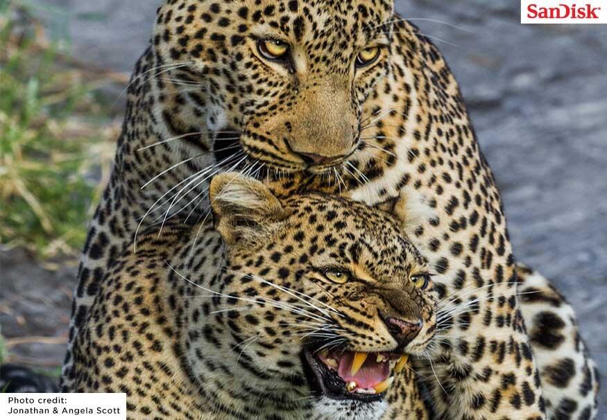 Embedded image permalink