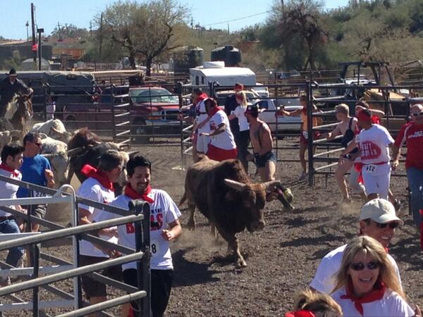 StarMe_'s tweet image. #cheatdeath Running of the bulls Cave Creek, AZ WOW!! Crazyness....!! *strme