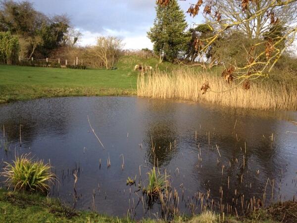 Cotenham Barn tweet media