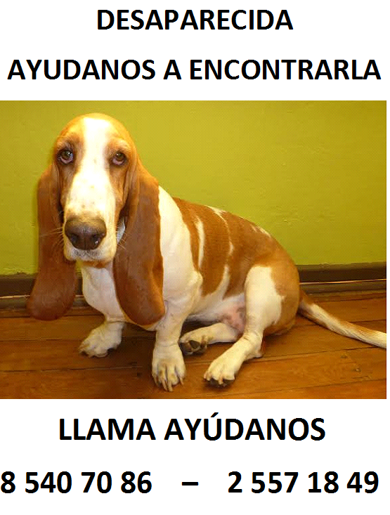 jocelyne berrios tweet media