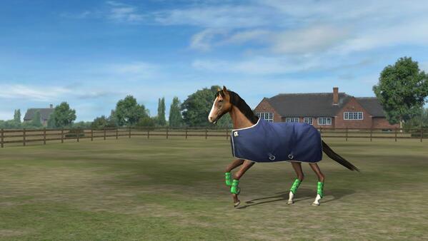 Check out my photo! Add me, Shushuthehorse. #MyHorse  nmgam.es/horse_twitter