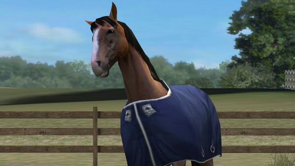 Check out my photo! Add me, Shushuthehorse. #MyHorse  nmgam.es/horse_twitter