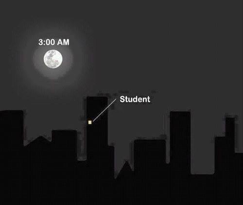 Wellington Marshall tweet media