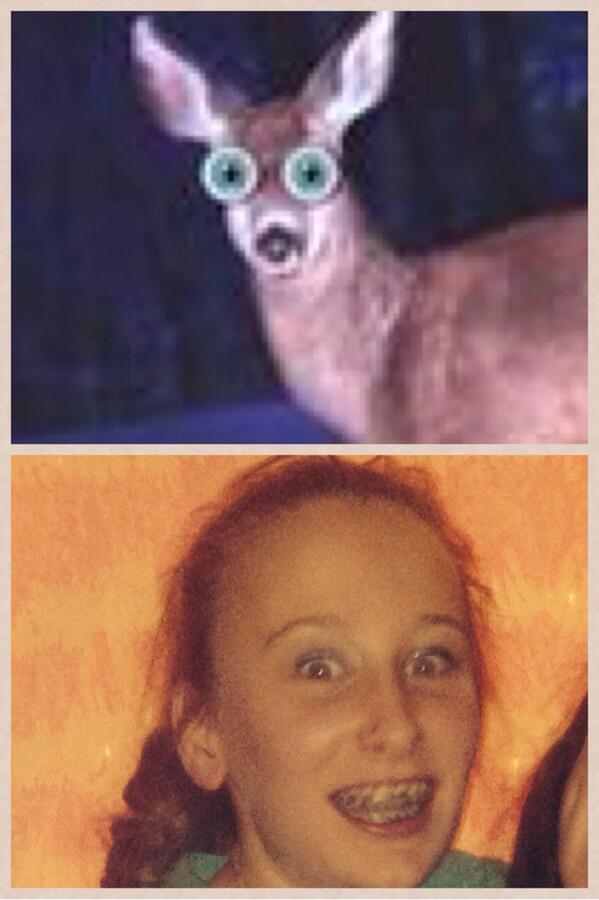LivEagan's tweet photo. Do you see the resemblance? @livisboss http://t.co/f2fJ6GOYGz
