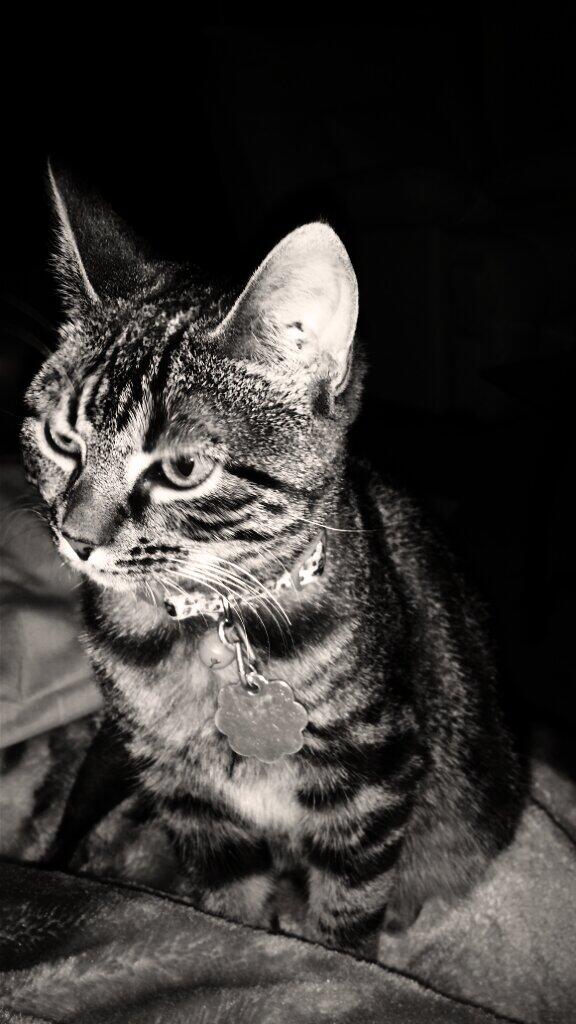 JSkyee17's tweet image. 