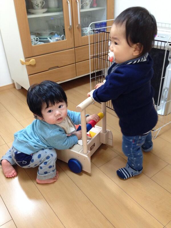 NaminamiT's tweet photo. ベビー同士が仲良く遊んでる！ http://t.co/6Ctp8kTuGY