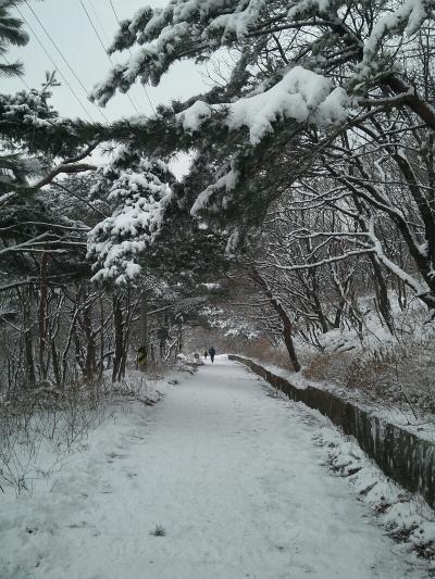 RamblR_KR's tweet photo. #눈 내린 2월9일 #서울 근교의 #청계산 산행기입니다. 램블러 keeney 님의 청계설산을 구경해 보시죠~ --> http://t.co/F0xxbnhCg8  #아이젠 은 꼭 챙기셔야 합니다. http://t.co/5UXqMOshPh