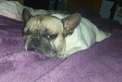 PauCarsProject's tweet photo. Buenos y vientosos Dias!! Hoy No Saldria de la Cama!! Pero bueno. .. a por el Lunes http://t.co/gyy25GafZv