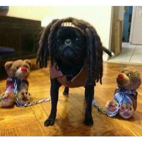 The Walking Dead returns! #nowwatching