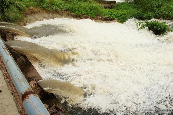 Ver imagen en Twitter