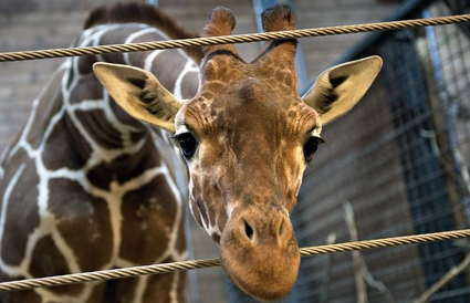 Jim Roberts tweet media