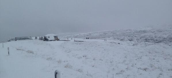 GarethDavies76's tweet image. Sort of puts pay to this mornings road ride #snowedoff