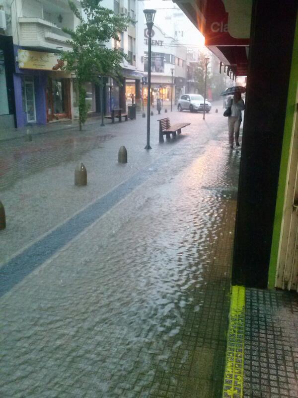 Ver imagen en Twitter