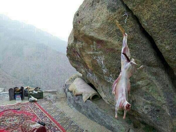 منظر وجلسة جمييييييييلة