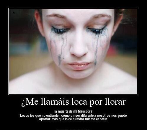 demiati's tweet photo. Amor animal http://t.co/irme1F44oI
