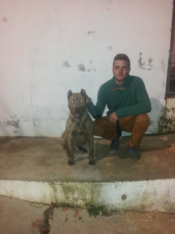 Benito Gil Corbacho (@benito1463) on Twitter photo 