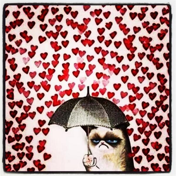 mr_moon_85's tweet photo. I hope this won't be me this year.... Lol! #ValentinesDay #Valentine #ValentinesDayToMeIs #ThatDudeMaZek http://t.co/dHV6RlPP7D