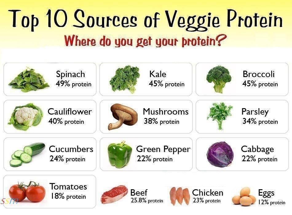 Menú rico en proteínas Menú rico en proteínas