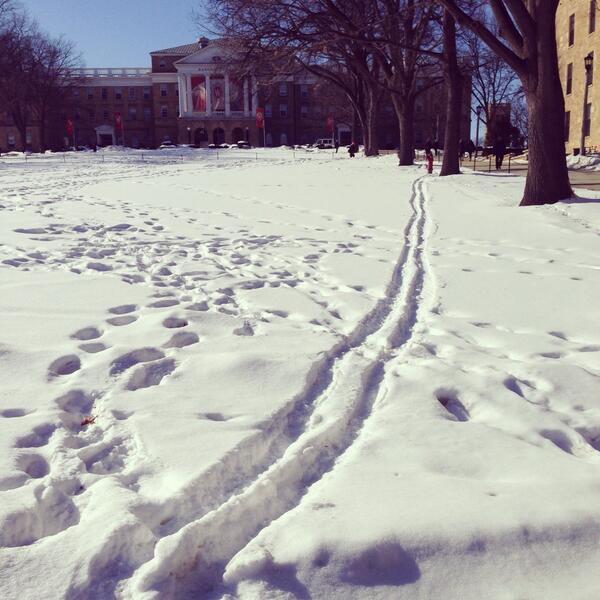UWMadisonLS's tweet photo. Hmm. #Olympics2014 fever must be catching here too -- are these ski tracks on Bascom? #dailybascom http://t.co/PgJ4sxpY3r