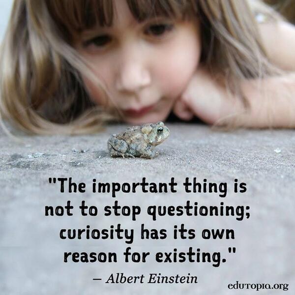 Great quote from Albert Einstein MT <a href="/edutopia/">edutopia</a>