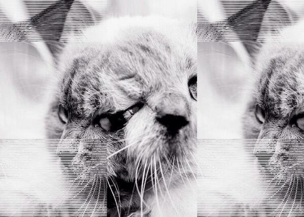 EsotericBass tweet picture