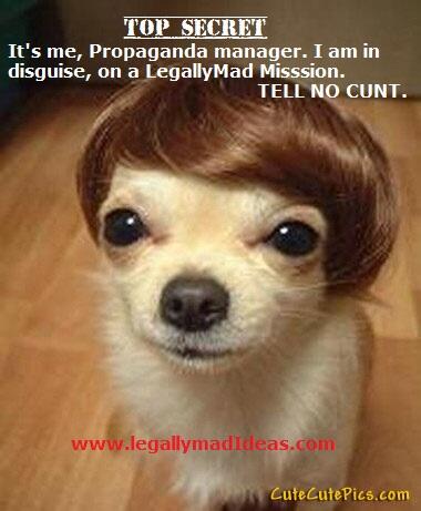 legallymad66's tweet image. #Propaganda Dept 

#ssshhhhhHHHH