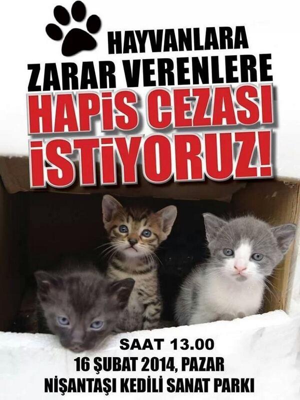 Hayvanlara zarar verenlere hapis cezası istiyoruz <a href="/bekrcoskn/">Bekir Coskun</a> Lütfen destek rica ediyoruz..