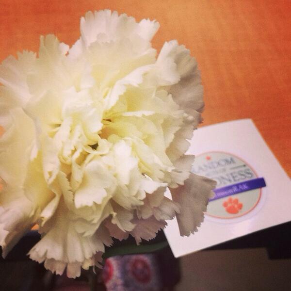 lindseyyowens's tweet photo. Getting a carnation = great way to start the week. #ClemsonRAK http://t.co/maWFm4HCu1