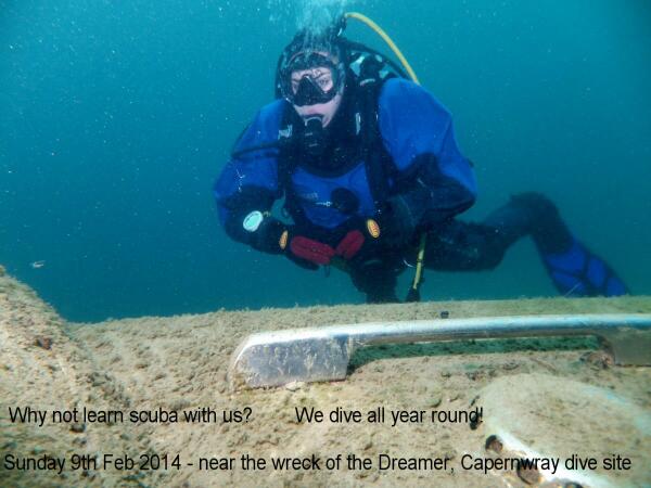 divesoscuba's tweet image. Hello #darlobizhour we run scuba diving courses at the Dolphin Centre in Darlo! Why not give it a go?