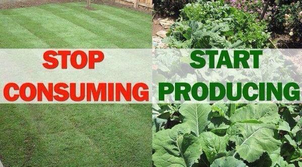 ElPablo1995's tweet image. #countereconomics