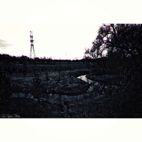 SeanDiamondTO's tweet image. What ever you want this to be. #TheSSC
#SeanSignatureCollection #NorthLove #Canon #Photography #VisualArt