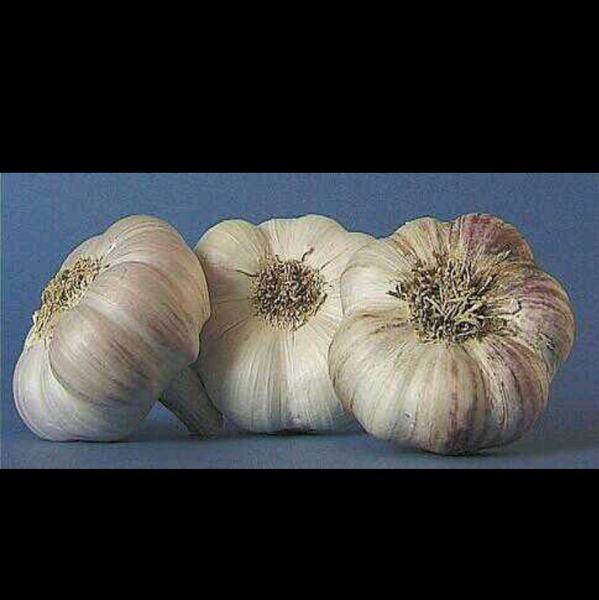 TweetsDeLoveuse's tweet photo. ATCHIC ATCHIC ATCHIC http://t.co/DZZAHJLJEN