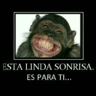 mioxynet's tweet photo. Las acciones dicen más que las palabras, y una sonrisa expresa:Me gusta usted.Me causa felicidad.Me alegro de verla. http://t.co/hBpoqfk8Pa