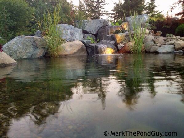 Pond inspiration!