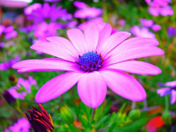 mercy0836's tweet image. #ImageFilter @MobilebilityiOS mobilebility.com/imagefilter/do…