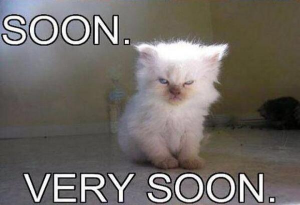 AlexandSierra's tweet photo. our album will be ready..... http://t.co/647kNrDnjA