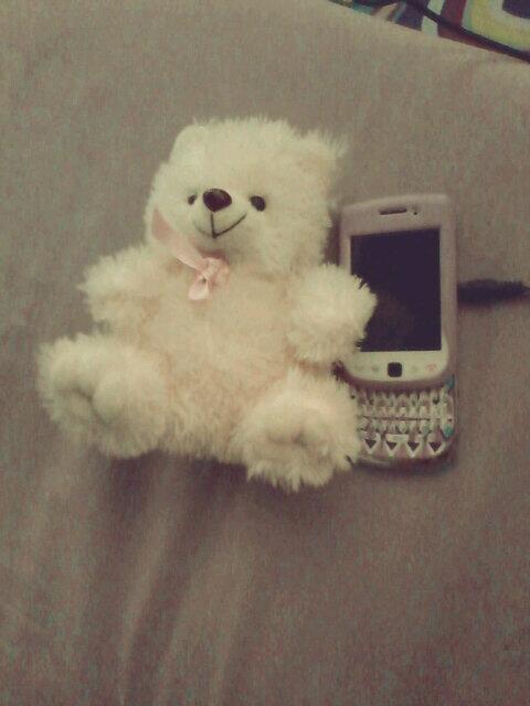 HeriPy tweet picture
