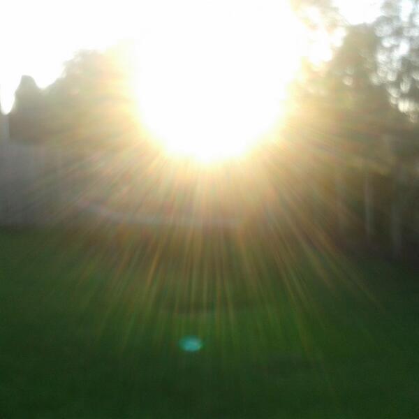 all_caged_up's tweet image. The sun is so beautiful in New Zealand!  ♡♥♡ #WouldntBeAnywhereElse #Kiwi #Sunny #Hot