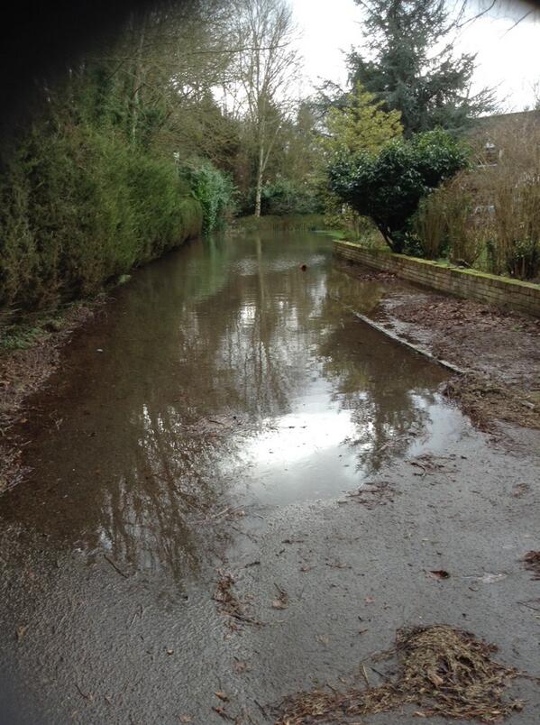 Sarah Seabury tweet media