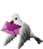 pesan singkat tuk menuju sukses Qvvvv bulan depan kn tercapai,,,, he....he....amin