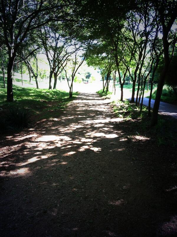 sicwikler's tweet image. Treino de corrida no parque ok!!! ✔
Corridinha com essa paisagem linda!!!
☀🌴🌿💦👟😅☀

#running #corridatop #bysimonefit