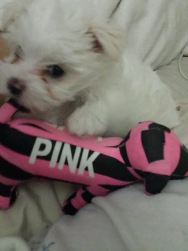 Ysabel Kyna tweet media