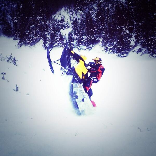 Mitchell Warren (Mitch_Warren) Twitter