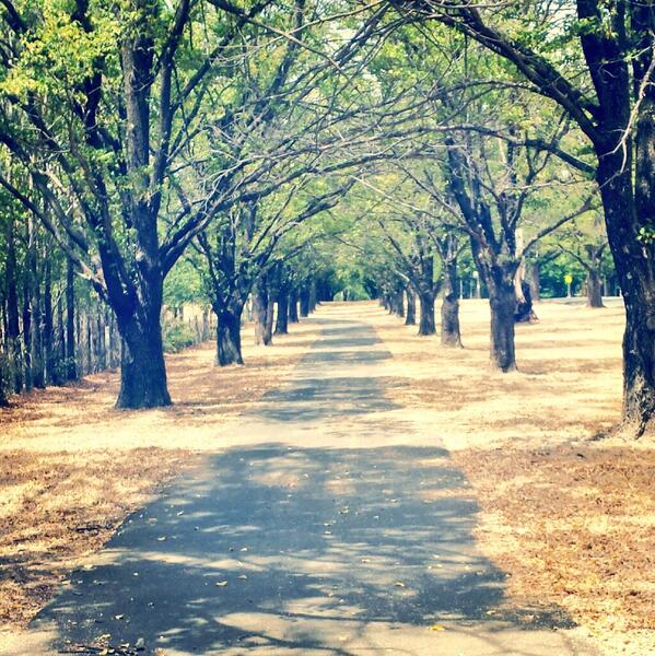 devvyj's tweet image. Had a lovely walk home after visiting campus for the first time. #une #universityofnewengland