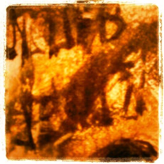 NuriaBarreraBel's tweet photo. Próximo viernes a las19:30h @HdadCachorro presenta su Anuario.dará #muchobastante q hablar #EnamorateDelCachorro #14F http://t.co/xTY8FHWbyb
