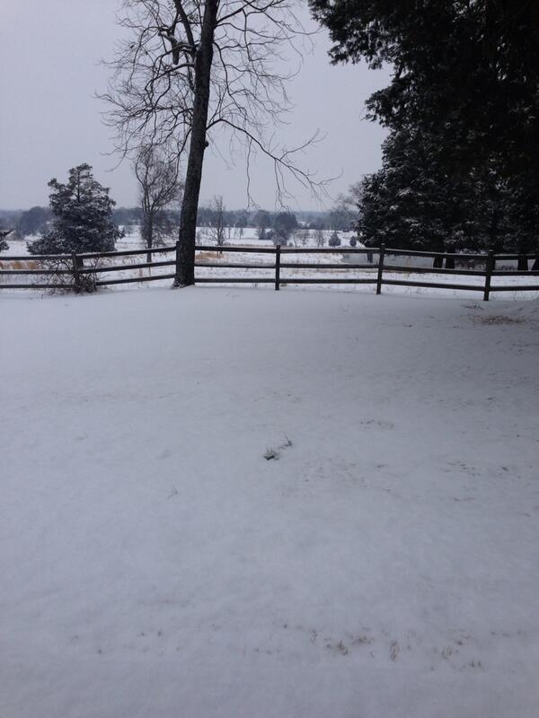 michelle_owens1's tweet image. 2 1/2" looking out my front door in #Speake. @DailyMeredith @AriWeather &amp;amp; still snowing 🏂❄❄⛄