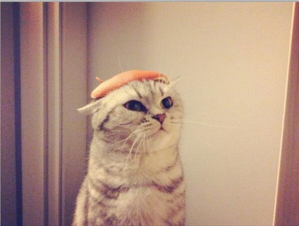 SEENVISION tweet media