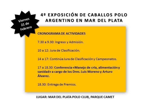 4º EXPOSICIÓN EN MAR DEL PLATA - VIERNES 21 DE FEBRERO