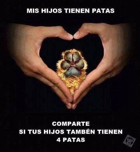 RvMiMascota's tweet photo. y tu cuantos hijos tienes? http://t.co/EaV7GxTbVv