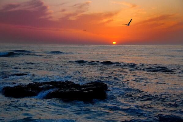 BeachImages's tweet image. Sunset at La Jolla Cova, California!